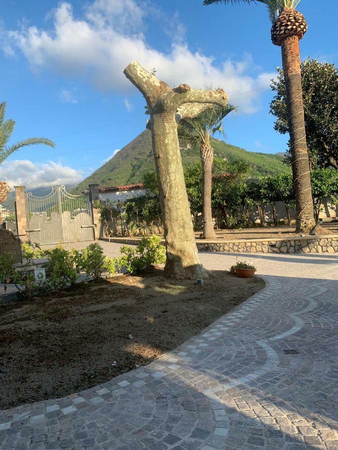 Villa Lucia Terrazza Panoramica Castellammare di Stabia Dış mekan fotoğraf